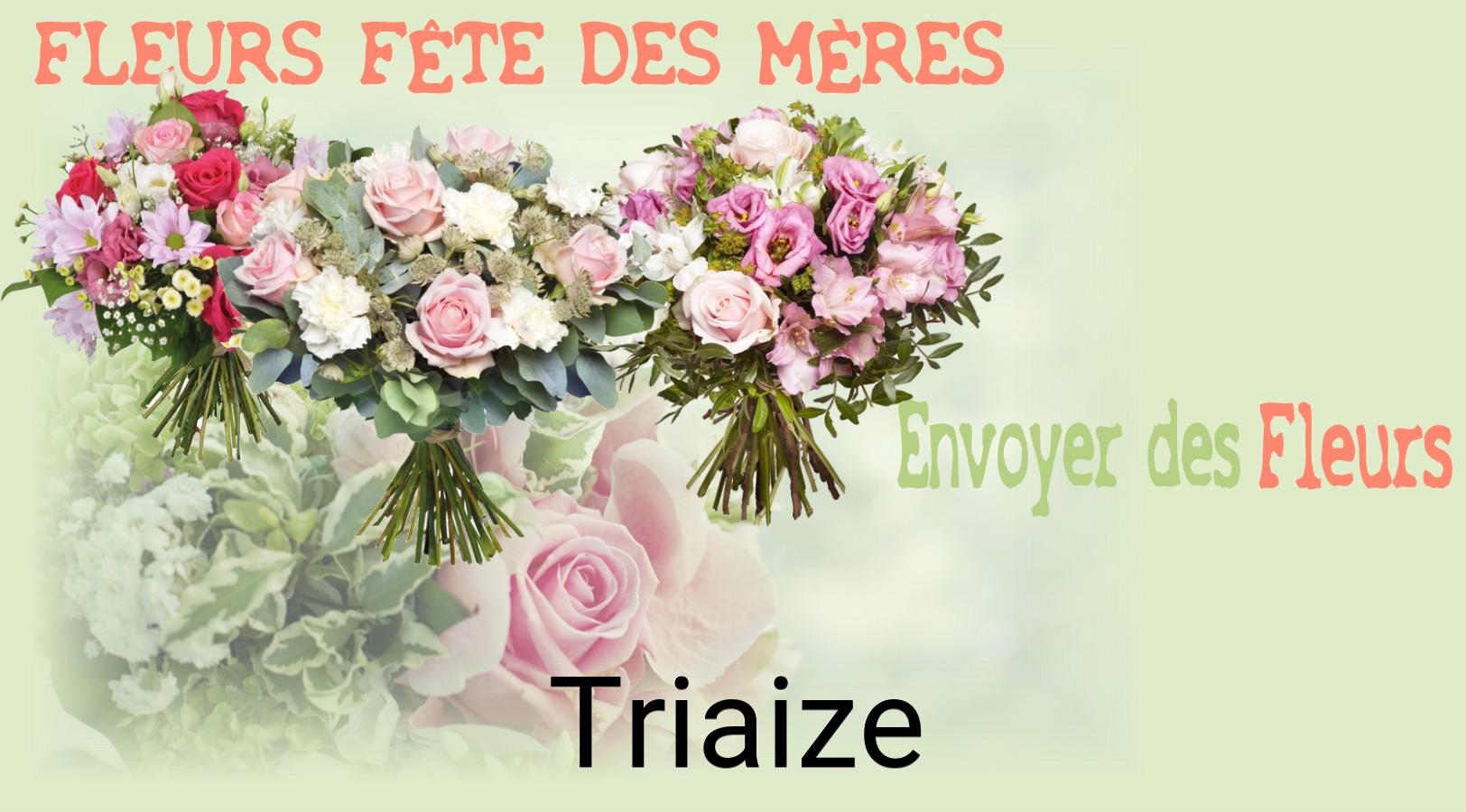 Bouquet de Fête des Mères livré à Triaize